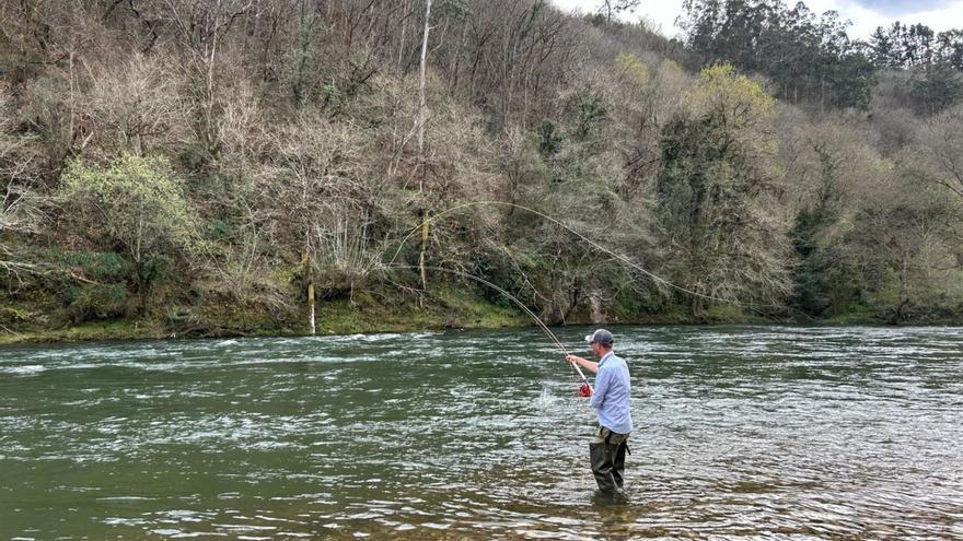 Javier Ruiz, pescando a mosca en el Narcea.