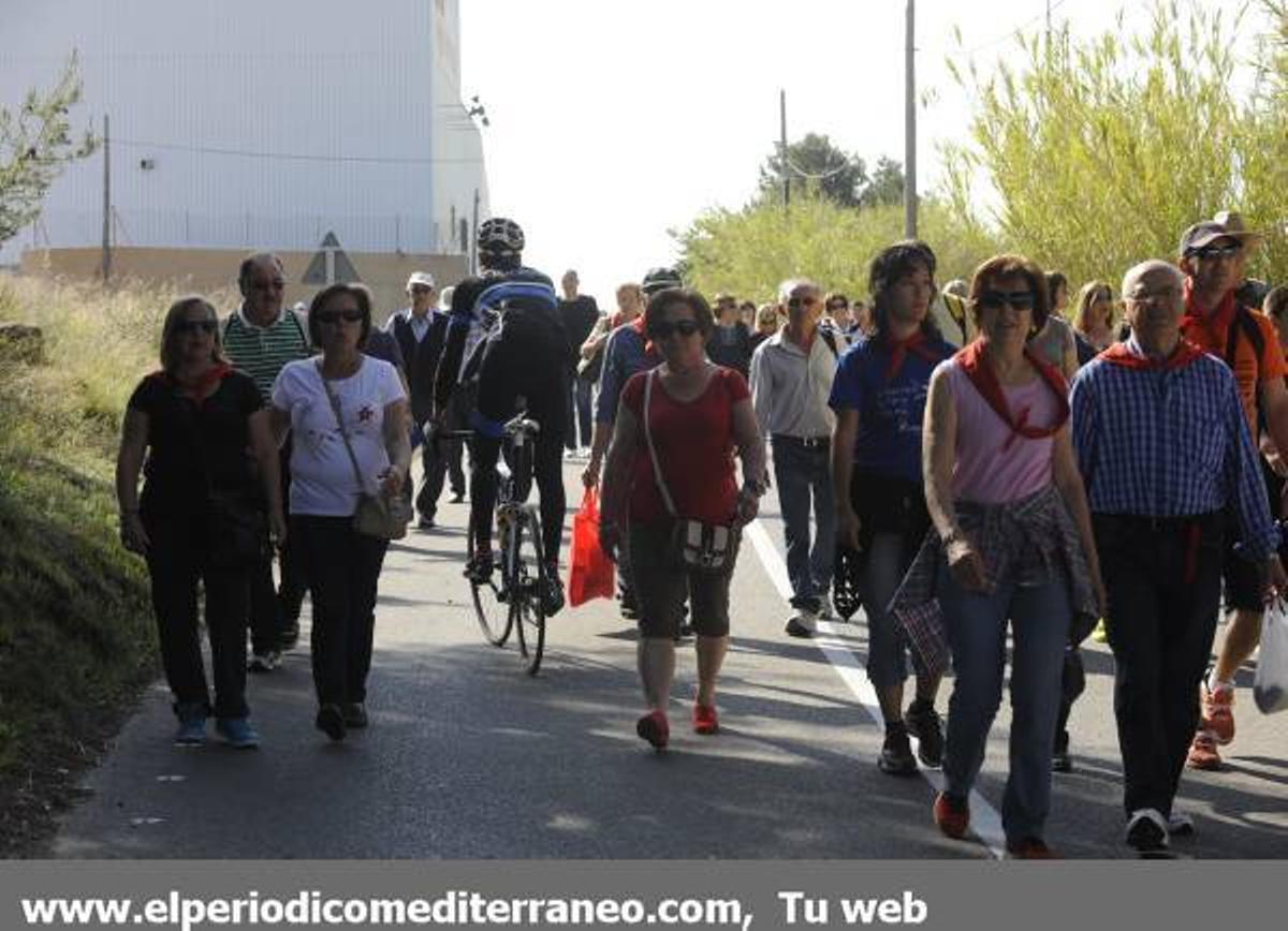 GALERÍA DE FOTOS - Romería en Almassora