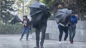 Varias personas se intentan proteger de la lluvia y del viento con paraguas.