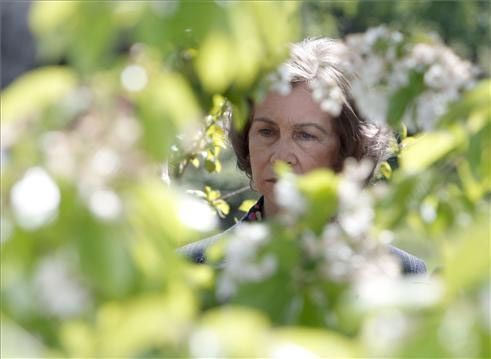 La Reina visita el cerezo en flor