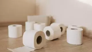 La forma definitiva de colocar el papel higiénico en el baño: ¡Te sorprenderá!