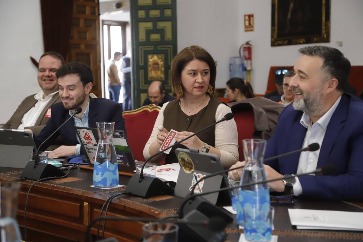 Irene Ruiz conversa con el portavoz de Vox, Rafael Saco, durante el último Pleno de la Diputación.