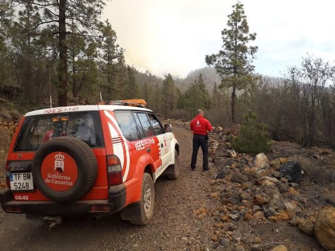 Segunda jornada del incendio de Granadilla de Abona (10.04.02018)