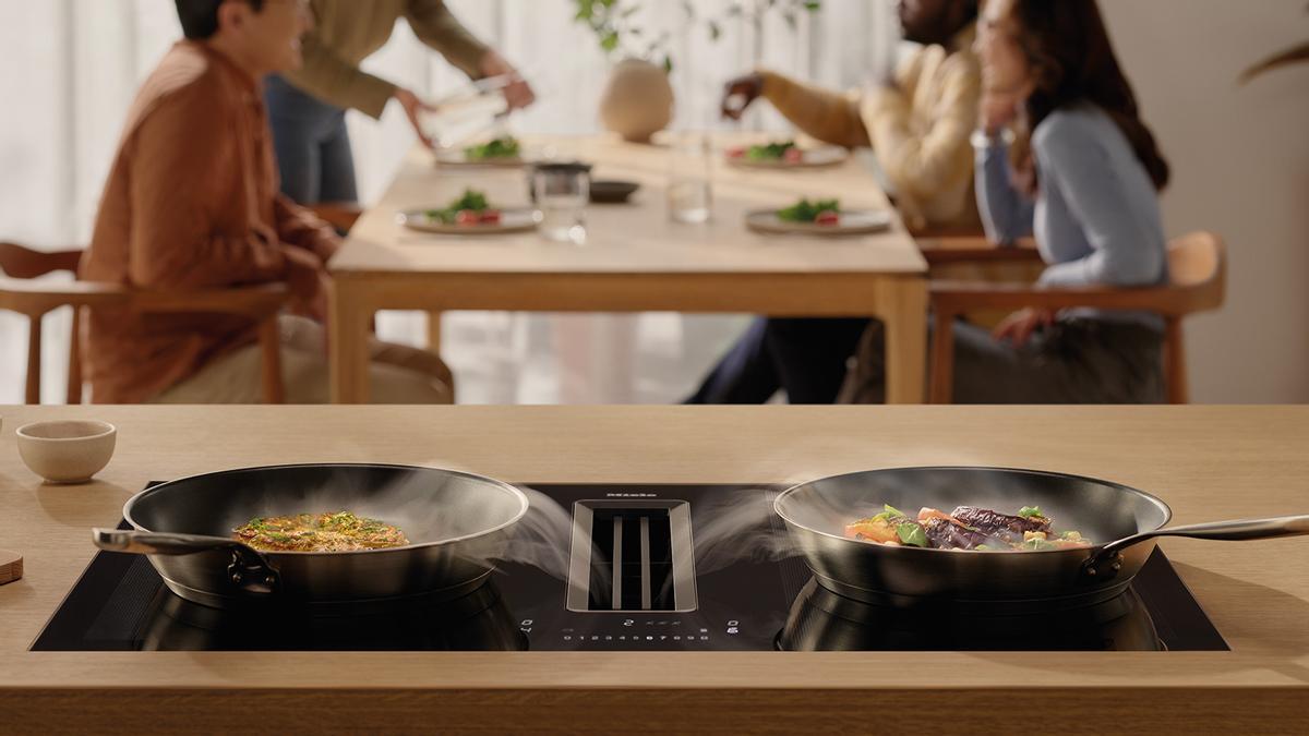 Placa de inducción con extractor integrado.