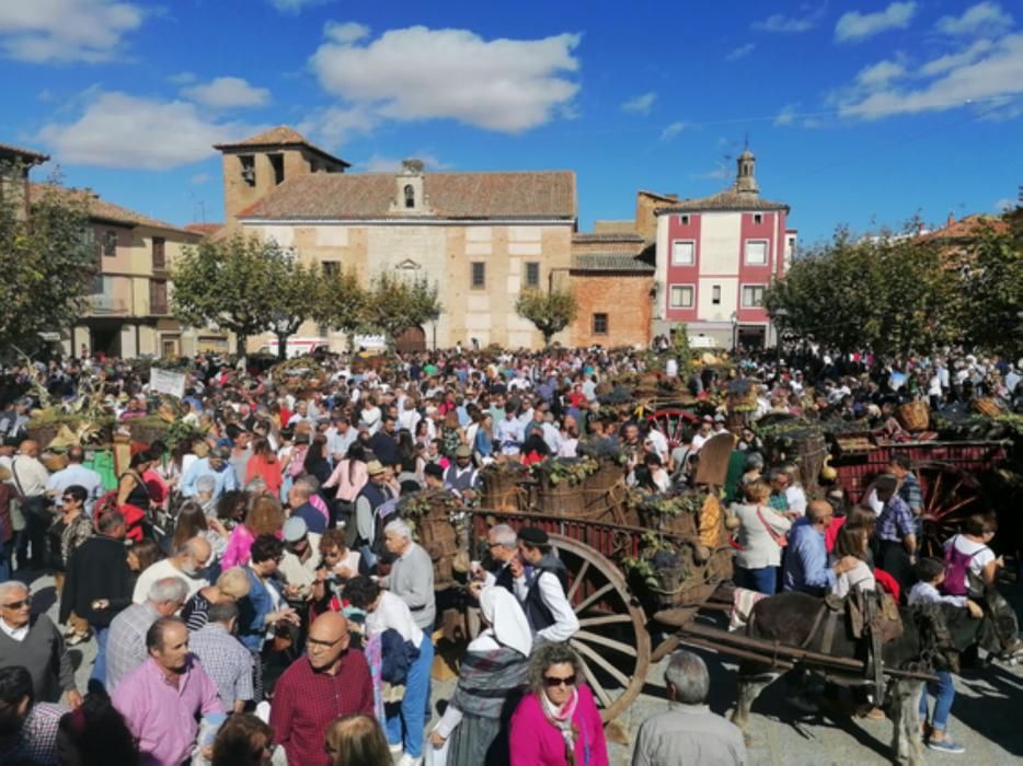 El desfile de carros de Toro, colofón de la Fiesta de la Vendimia