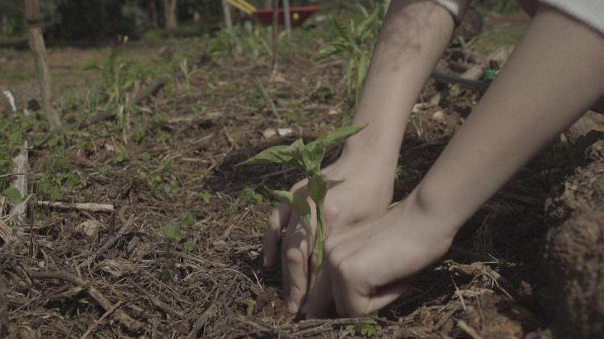 El documental constará de un largometraje y una serie de cortometrajes