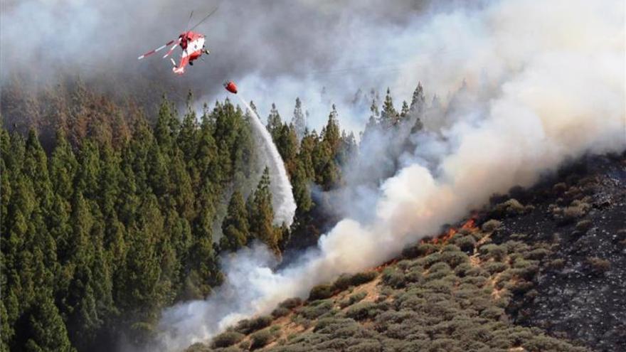 Logran contener el incendio que afecta a la cumbre de Gran Canaria