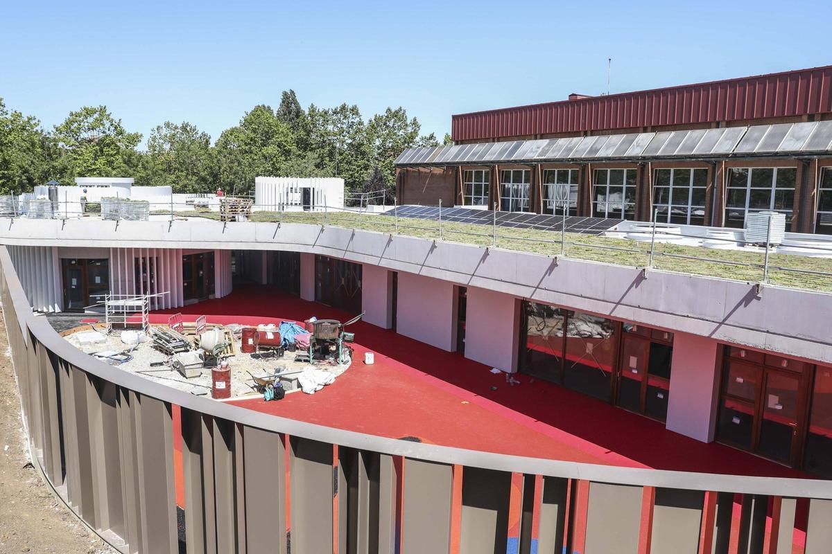 La zona de patio y la cubierta vegetal de la escuela.