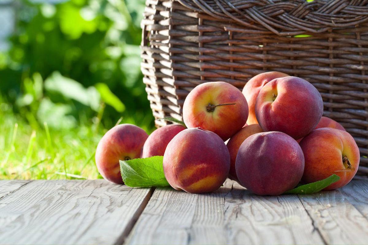 La alergia al melocotón es clave para entender otras alergias alimentarias.