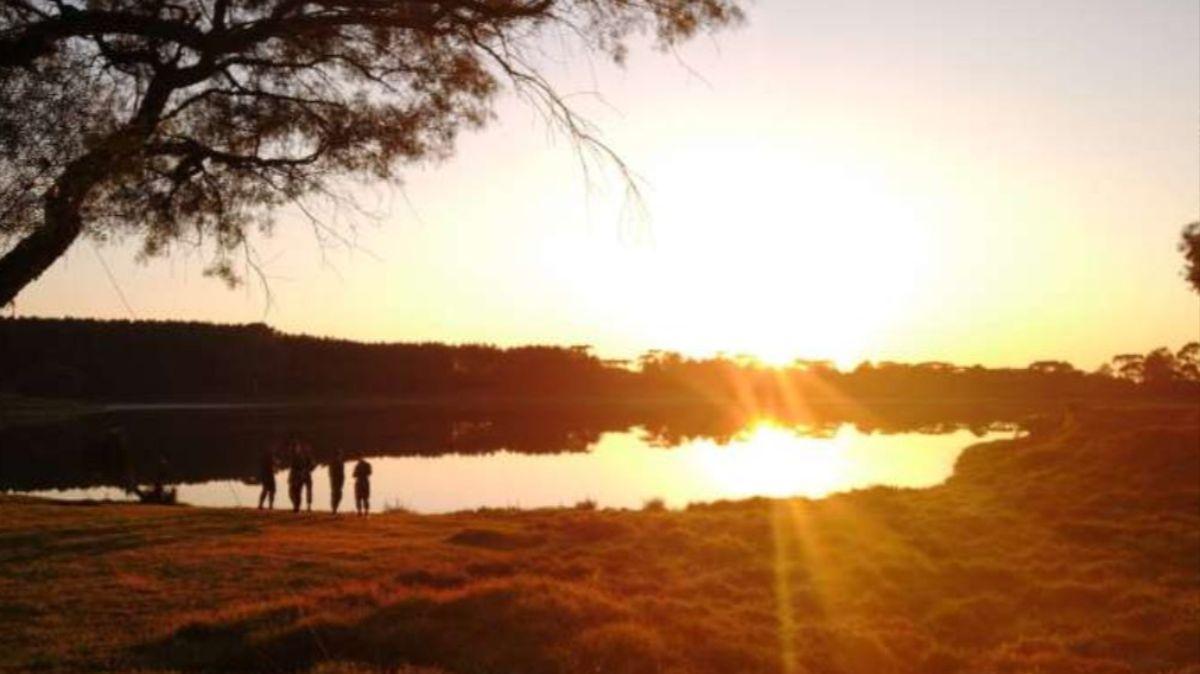 El trabajo, realizado fuera del laboratorio, muestra cómo la iluminación natural influye directamente en la vigilia y el funcionamiento del cerebro.