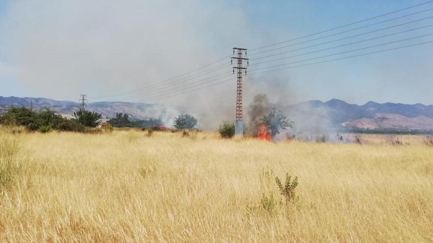 VÍDEO | Incendio de vegetación en una parcela del Camí Fondo en Castelló