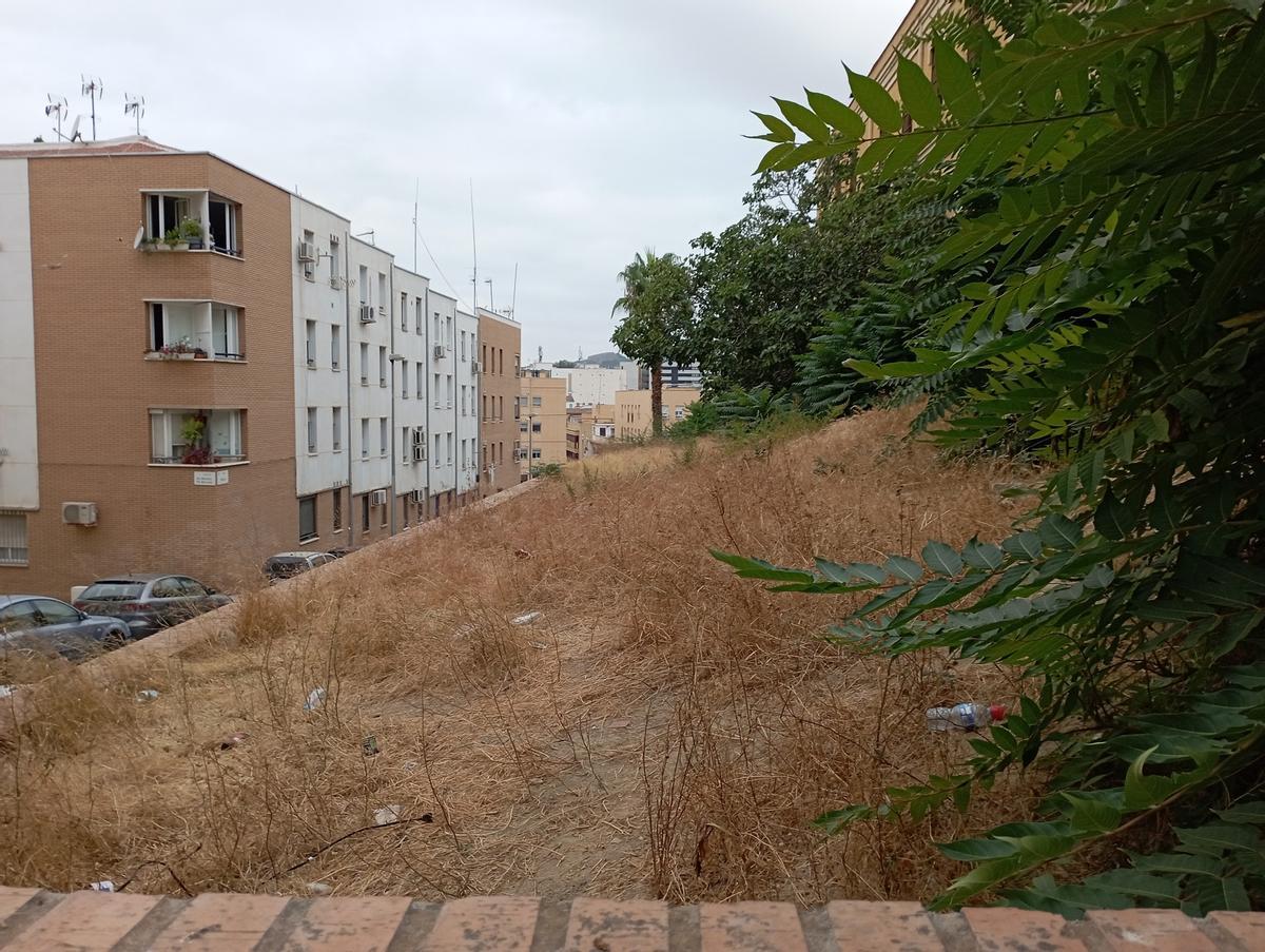 Zona 'ajardinada' al pie del antiguo cuartel, con la palmera al fondo.