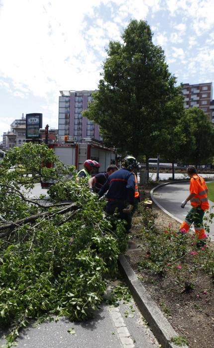 El temporal de viento causa estragos en Gijón