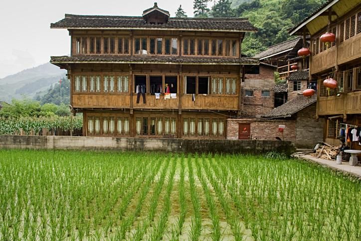 Huangluo está rodeada de inmensos arrozales.