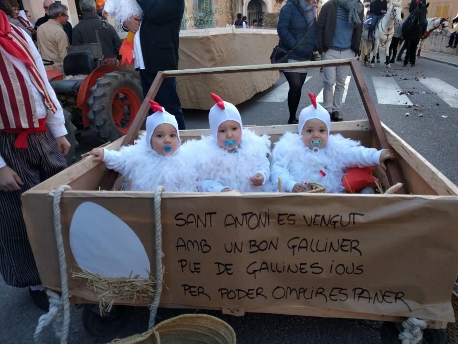 Sant Antoni 2018: Tiersegnungen in Muro