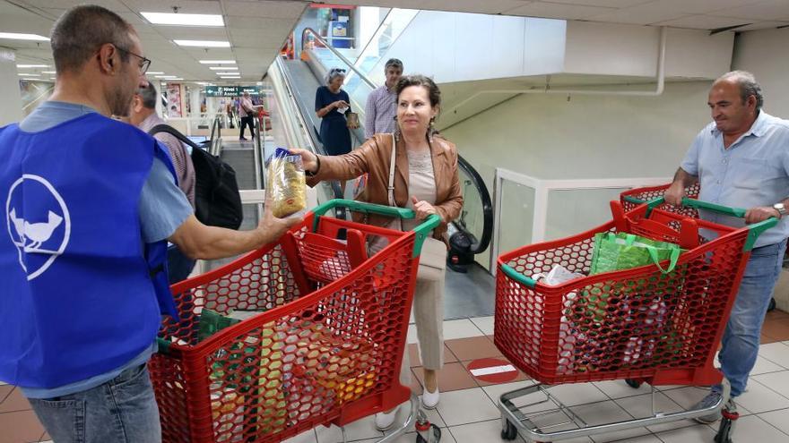 Medio centenar de voluntarios participan en una nueva recogida del Banco de Alimentos