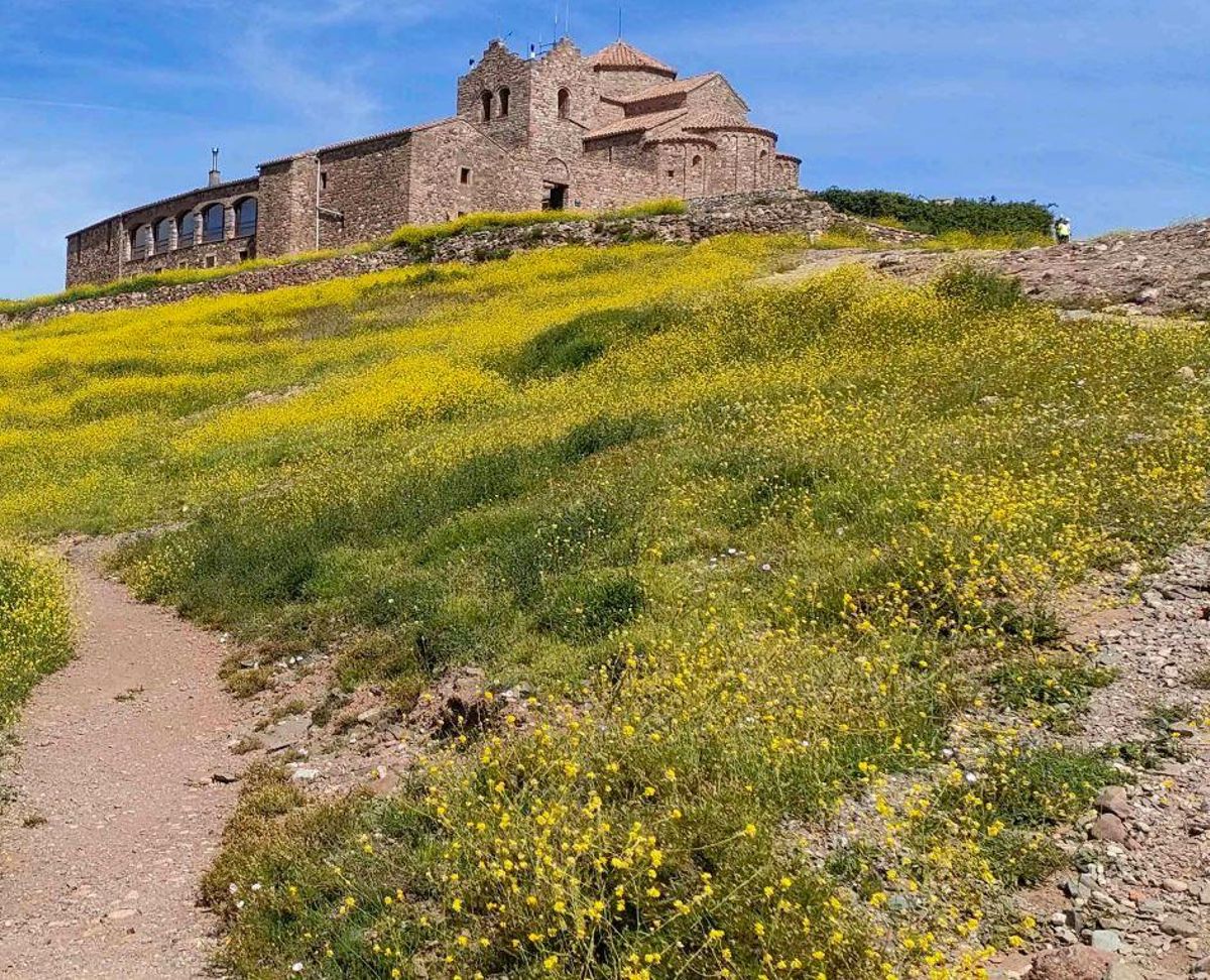 Cim de la Mola, en una imatge recent