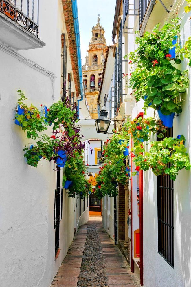 Calleja de las Flores, Córdoba, Calles más bonitas de España