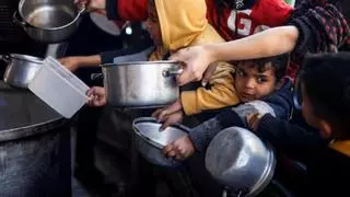 Los estragos del hambre en Gaza: obligados a comer pienso para animales o malvas para evitar morir de inanición