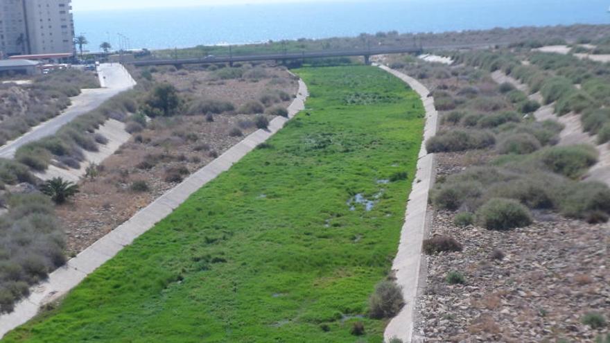 El Campello pide reducir la protección del plan litoral en el río Seco, Lanuza y Reixes