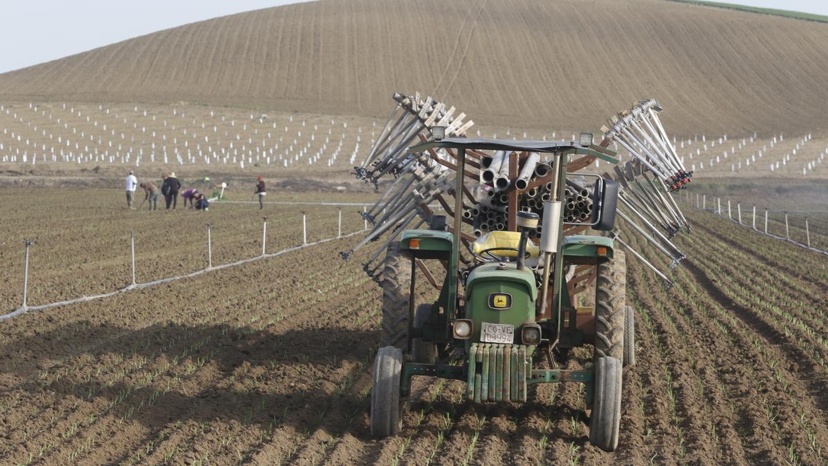 Los agricultores reclaman un IVA más bajo para sus carburantes.