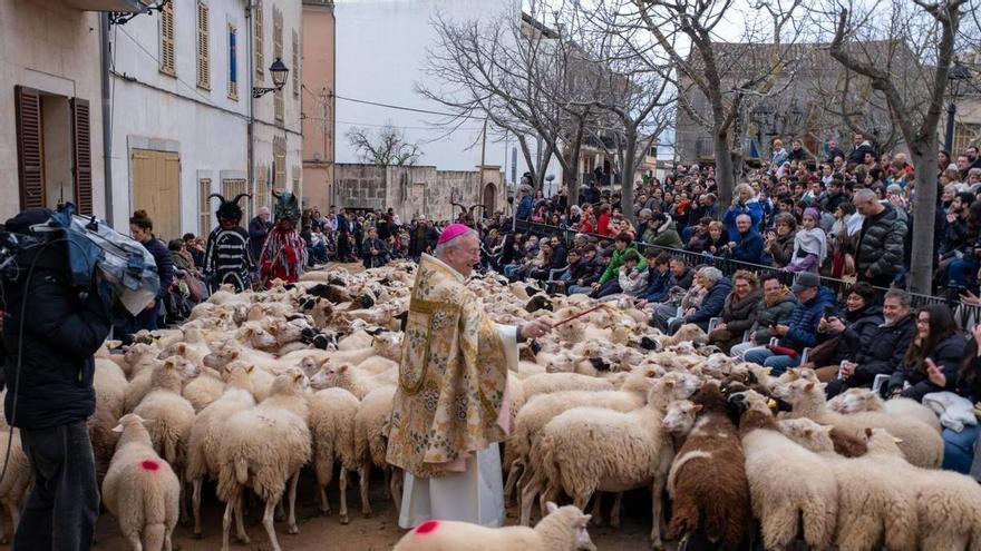 So-eindrucksvoll-waren-die-Tiersegnungen-zu-Sant-Antoni-2026-in-Muro