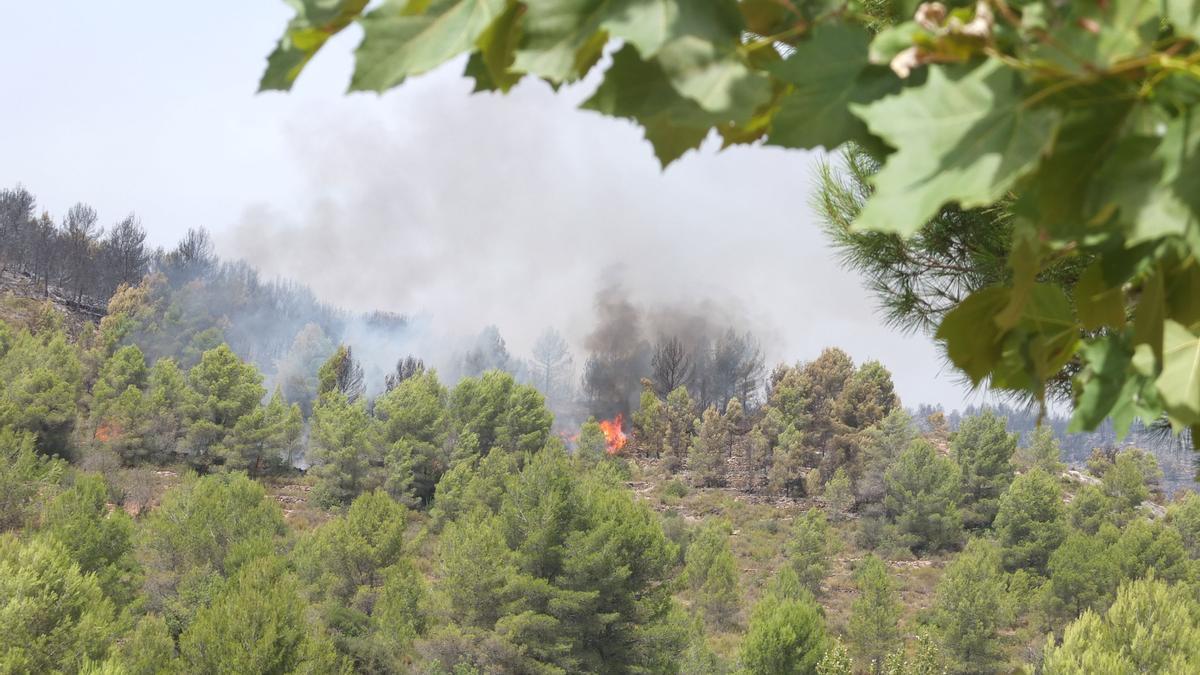 Vista del incendio de Azuébar el domingo