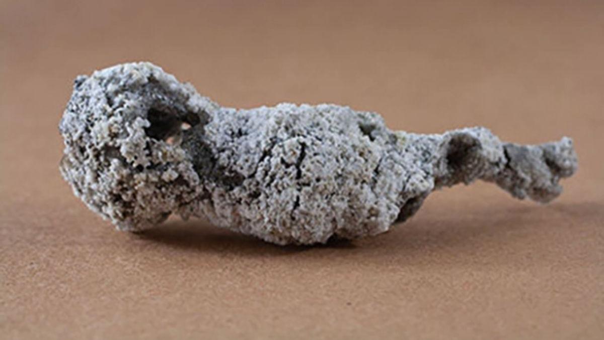 La fulgurita recuperada para el estudio, también conocida como &quot;rayo fosilizado&quot;.