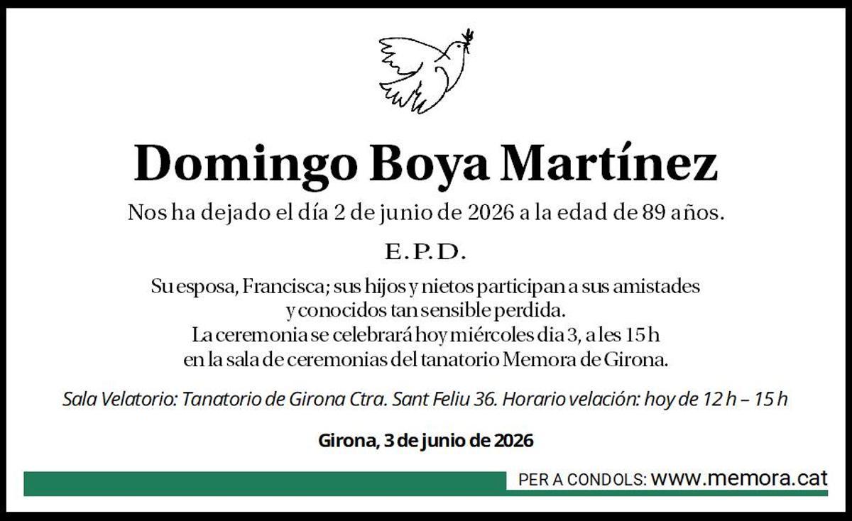 Domingo Boya