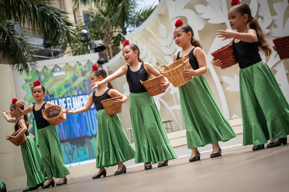Maratón de baile en Santa Cruz