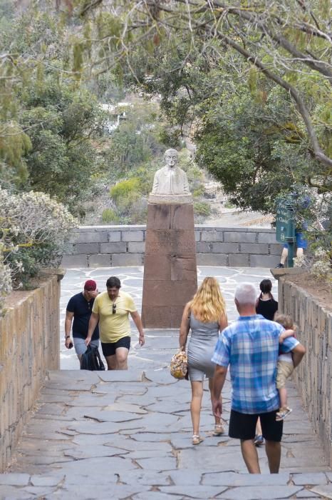 El Jardín Canario para evadirse del confinamiento