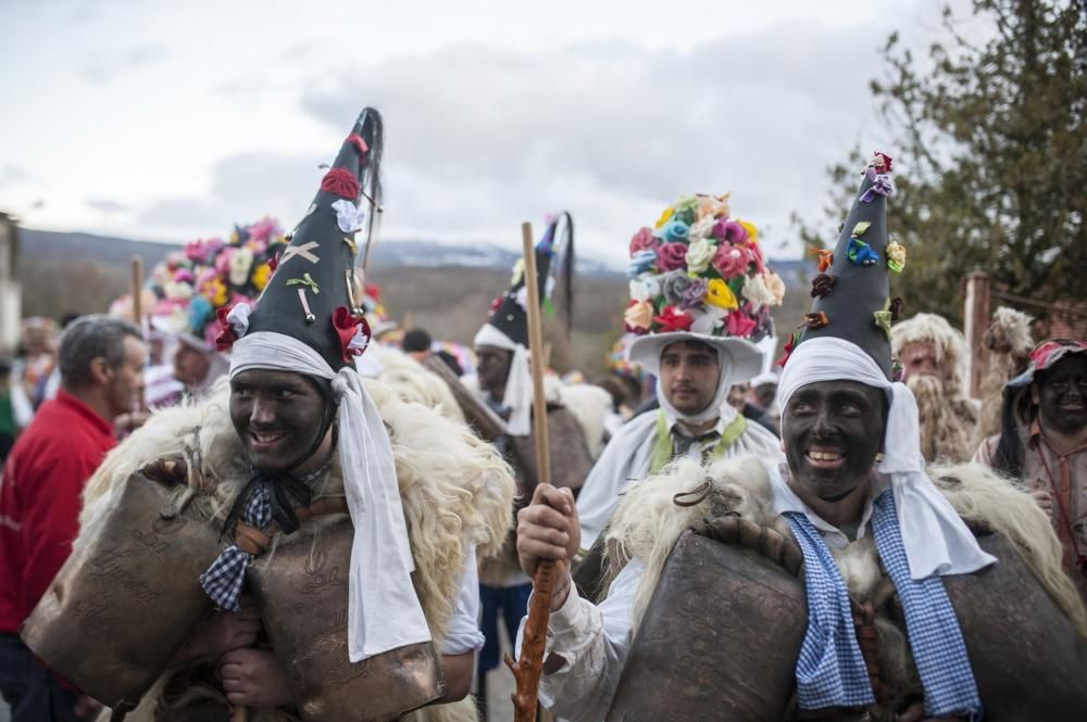 Viana reunió ayer a 39 grupos de carnavales ancestrales y foliones de España y Portugal que hoy repiten "mascarada" en Vilariño