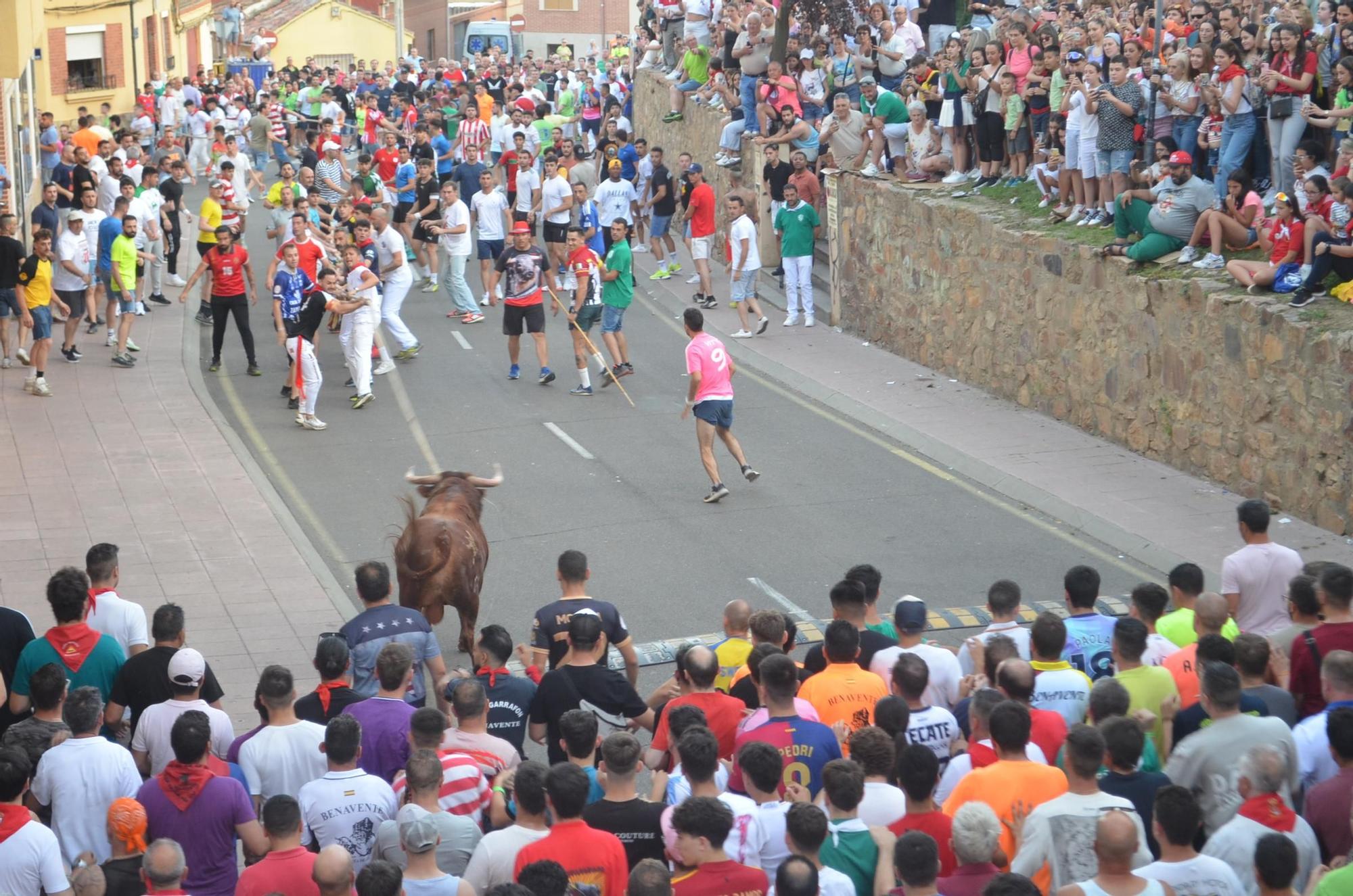 Así ha sido la carrera del torito Espléndido en Benavente