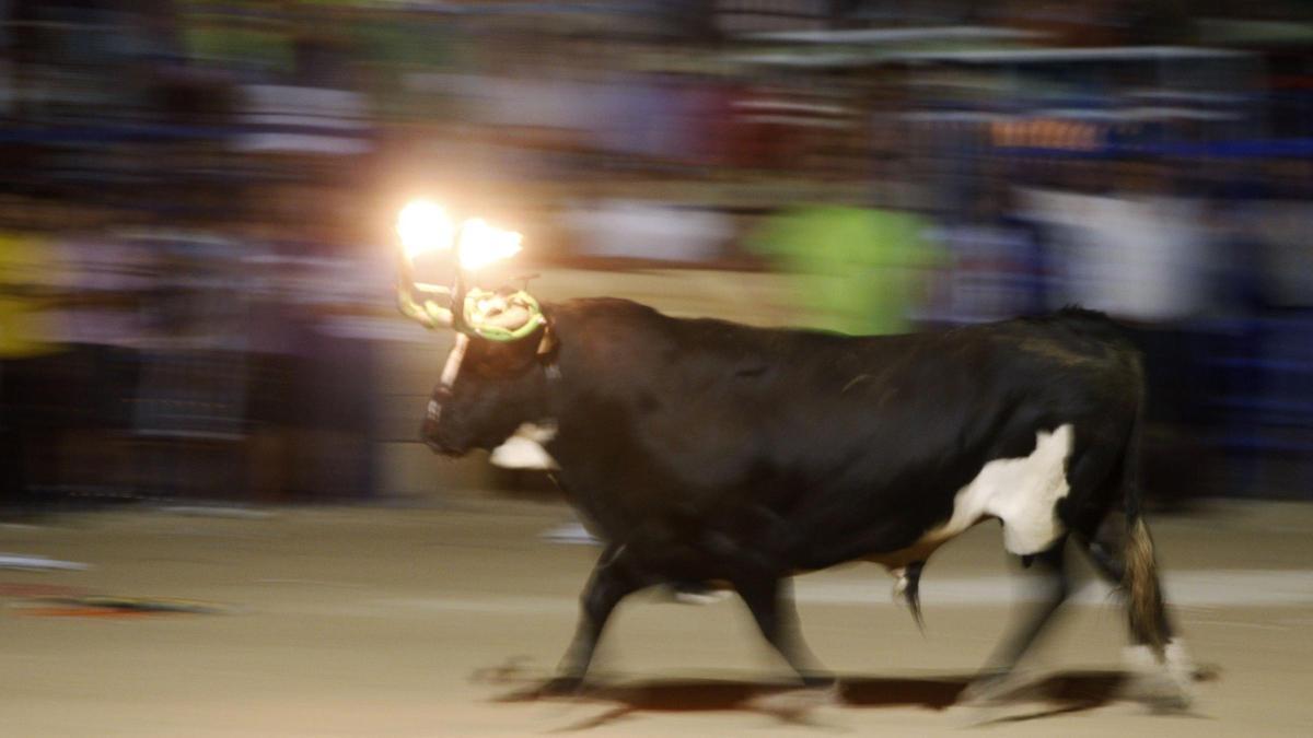 Se embolarán dos toros de Fernando Machancoses y uno de Gerardo Gamón
