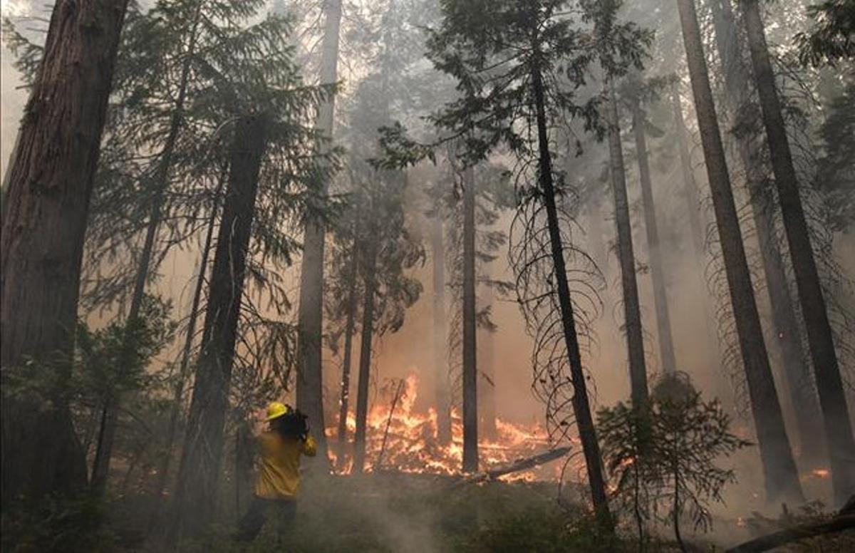Un càmera grava en una zona de l’incendi a Yosemite.