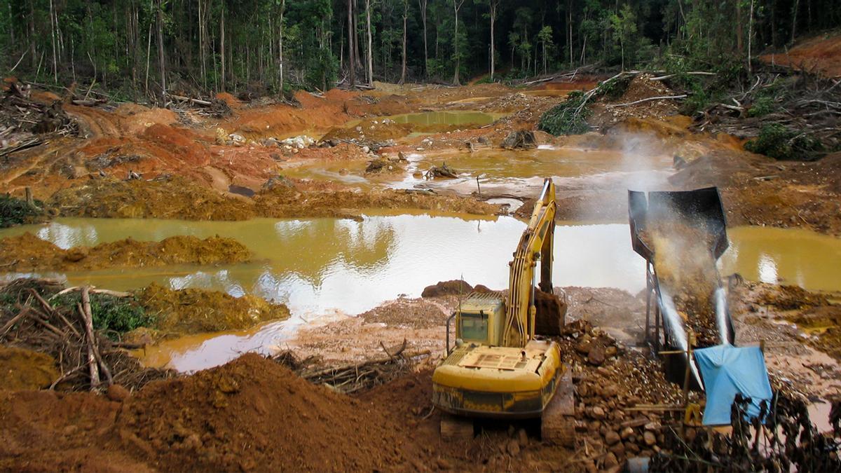 Extracción de oro en la Amazonía peruana