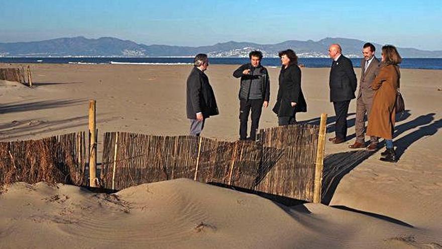 Les dunes recuperades dins el Parc Natural dels Aiguamolls.