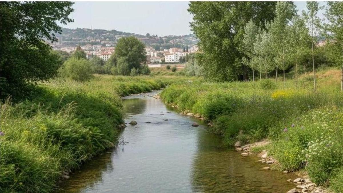 Ecologistes en Acció presenta al·legacions contra el projecte de línia elèctrica de 110 kV a Manresa