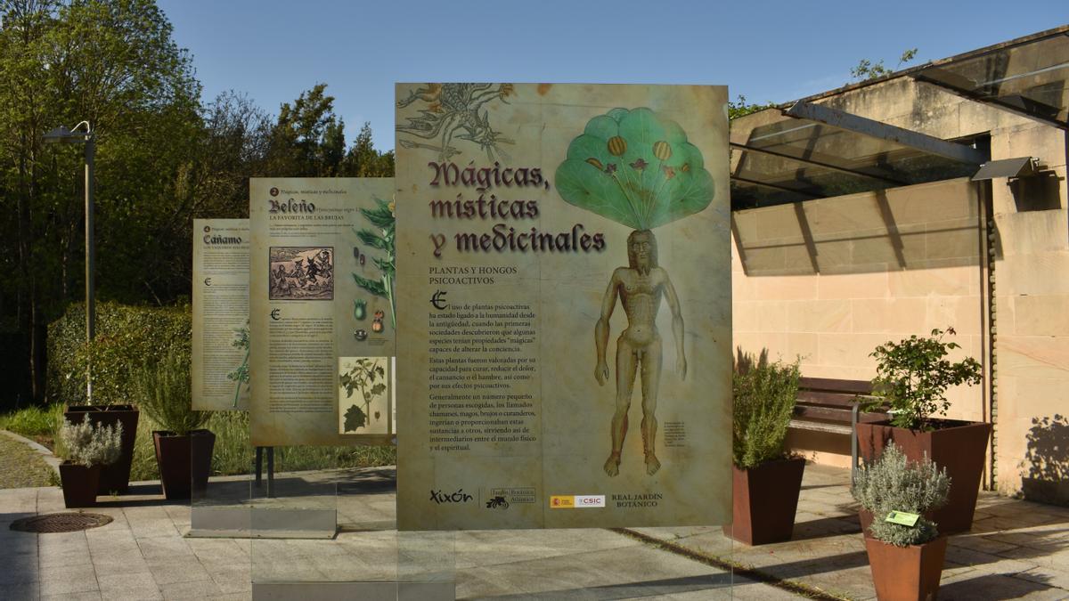 Carteles sobre la exposición en el Jardín Botánico.