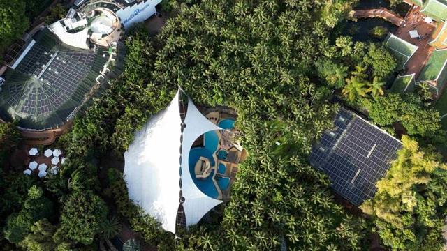Loro Parque genera su propia energía limpia con placas solares y aerogeneradores, reafirmando su compromiso con un futuro sostenible.