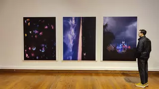 Estos son los artistas canarios que participan en la Bienal Internacional de Arte Contemporáneo del Sur