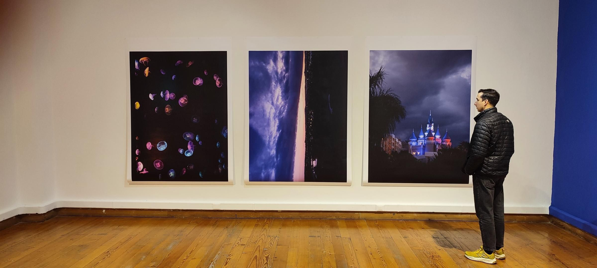 Algunas piezas de los artistas canarios en la Bienal de Arte Contemporáneo del Sur