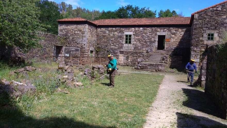 Trabajos de desbroce en el monasterio de Carboeiro.