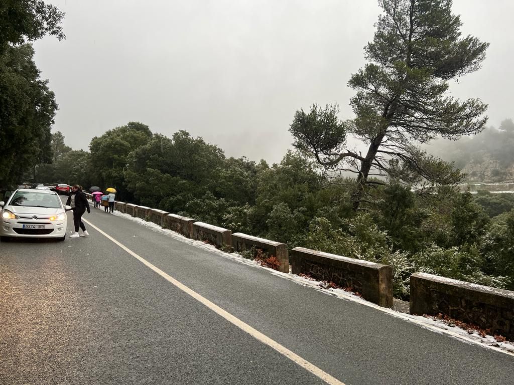 Mallorca registra la mayor nevada en cinco años