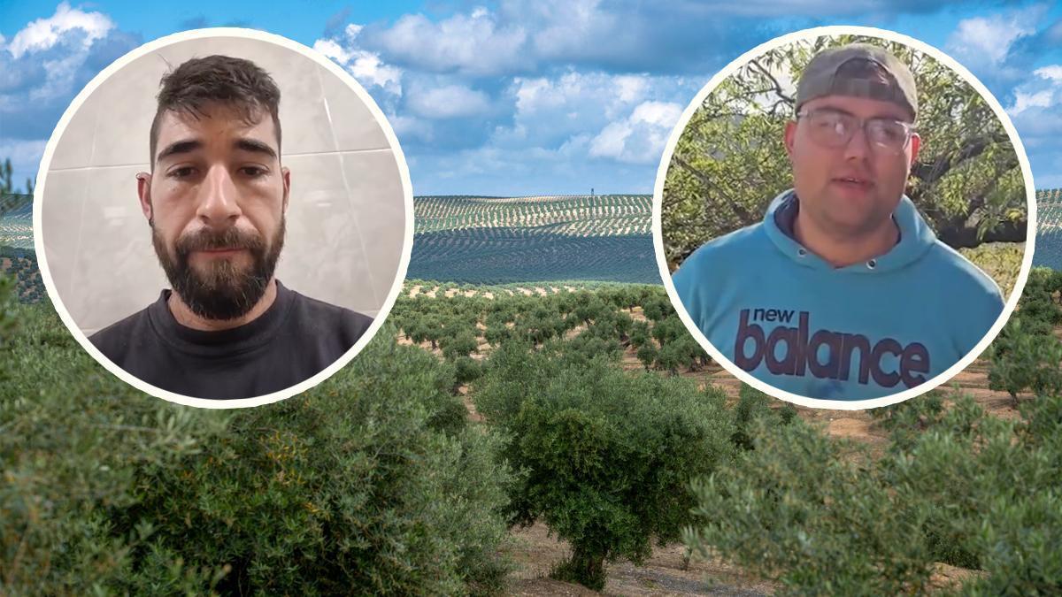 Vídeo: Dos jóvenes de Castellón llevan casi tres meses esperando a que la Conselleria apruebe su solicitud para darse de alta como agricultores
