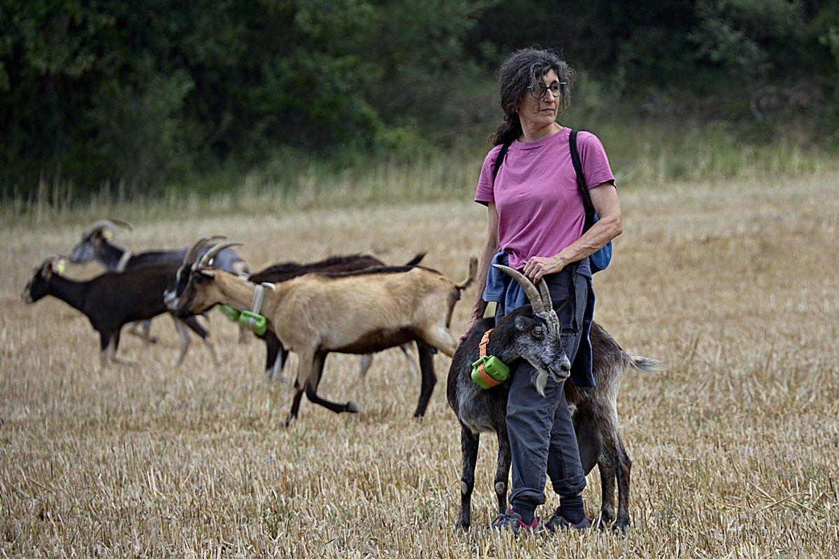 Martà Solà amb les seves cabres.