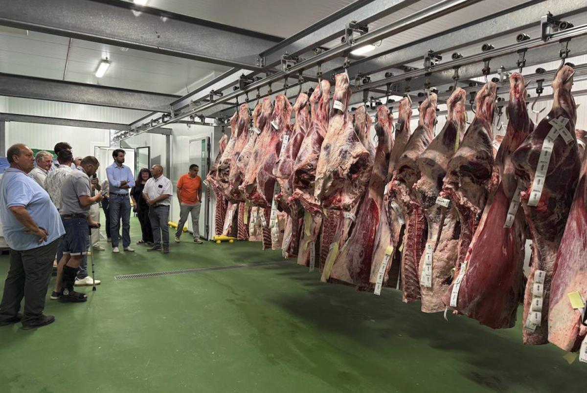 La nueva fábrica cuenta con salas de central cárnica, procesado y distribución.