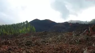 El municipio organiza este domingo la VII Ruta Guiada de Los Volcanes