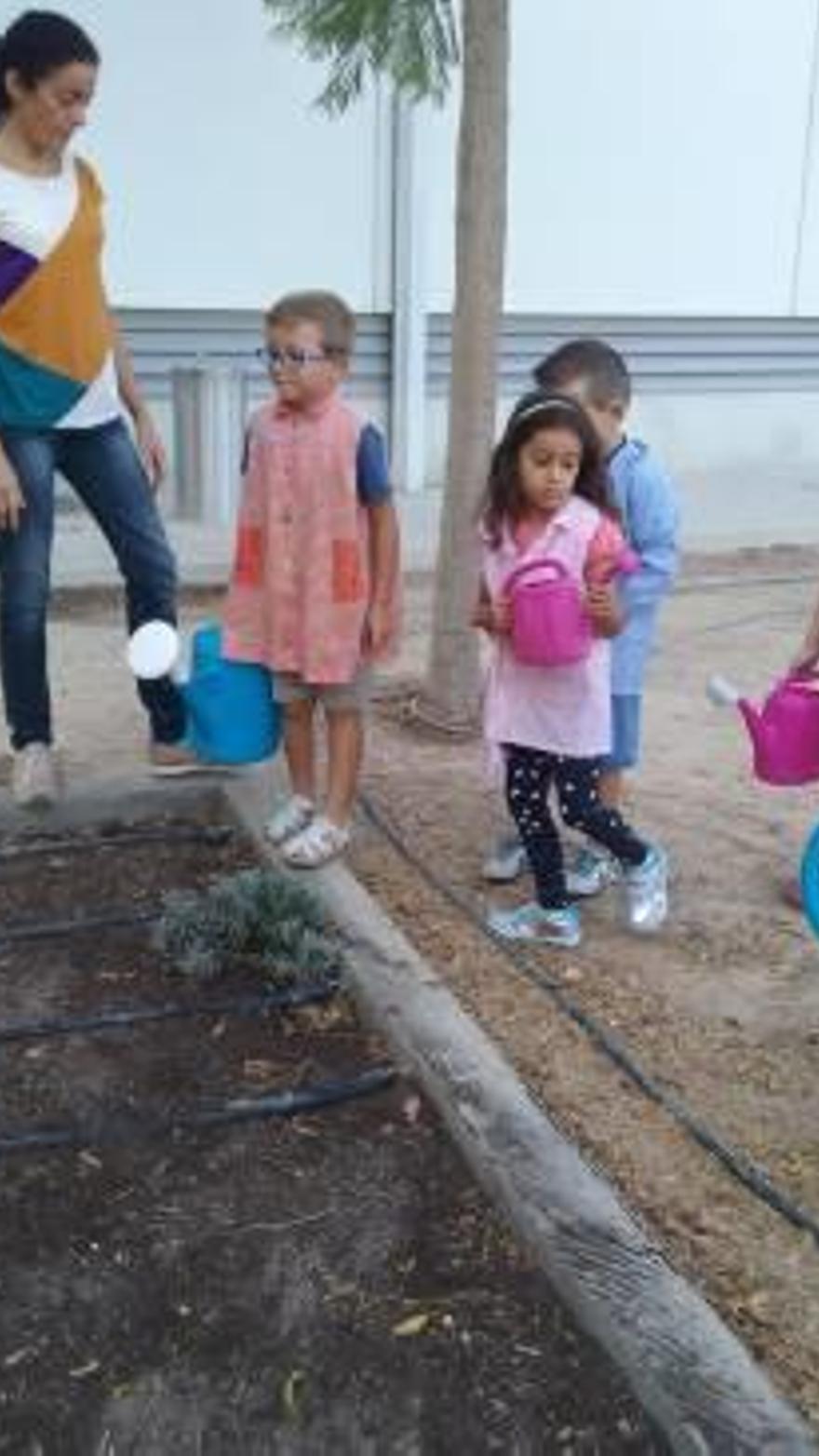 Más tareas en el huerto escolar del CEIP San Gabriel de Alicante