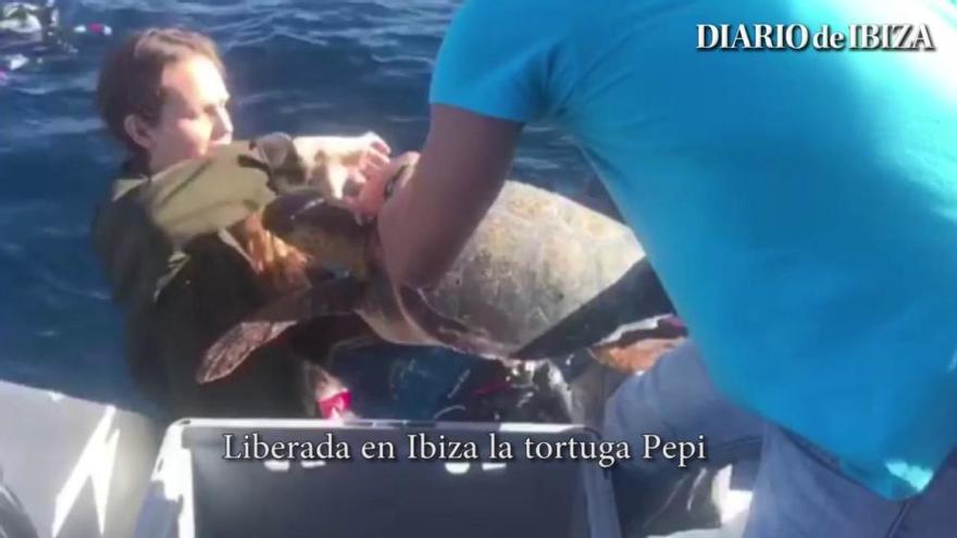 Liberada la tortuga Pepi en Ibiza